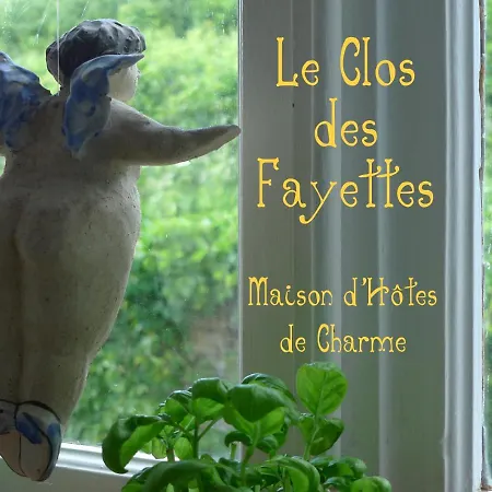 Le Clos Des Fayettes 4* Theize